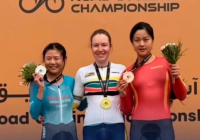 Мемлекеттік кеңесші: 1995 жылғы Конституциядан өрескел қателер анықталды