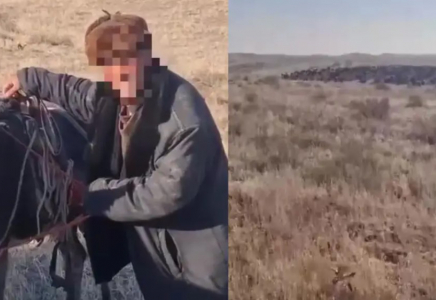 Жамбыл облысында қойшы қалың тұманда үш күн бойы адасып жүрген