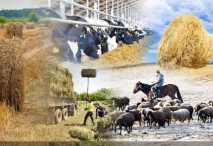 Қазақстанда ауыл шаруашылығы санағының офлайн кезеңі басталады Қазақстанда ауыл шаруашылығы санағының офлайн кезеңі басталады