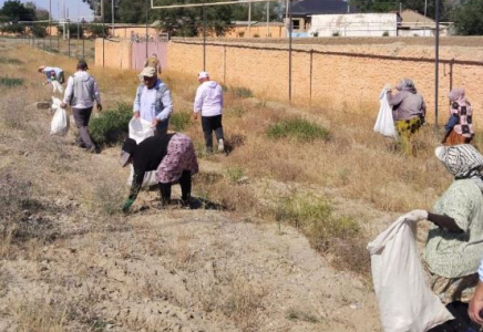 Түркістан қаласында жалпықалалық сенбілік өтті