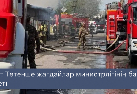 Астанадағы екі жеке тұрғын үйде ірі өрт шықты