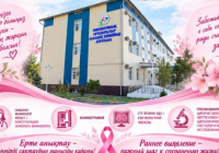 Шымкентте сүт безі қатерлі ісігін ерте анықтауға арналған Ашық есік күні өтеді