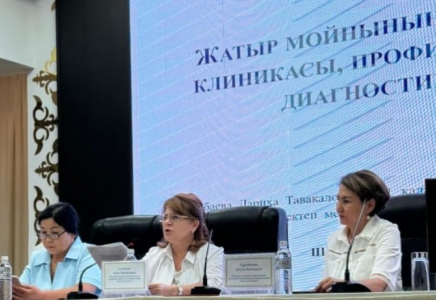 ​В Шымкенте прошел семинар по диагностике, профилактике и вакцинации против вируса папилломы человека