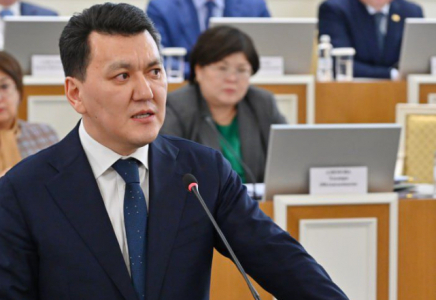 ​Жаңа Конституциямыздағы жаңа ұстанымдар мен нормалар басқа елдерге үлгі, бағдар болатынына сенімді айта аламыз– Ерлан Қарин