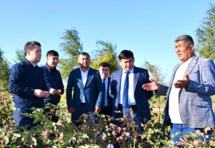 ТҮРКІСТАН: Төрткүлдің мақтасы шетелге экспортталады