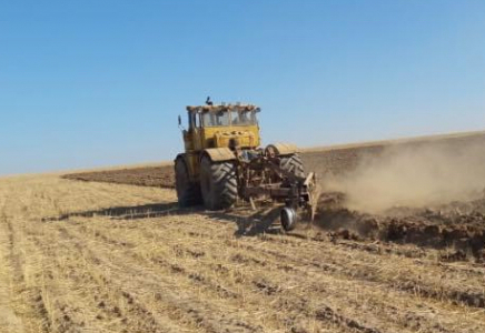 ТҮРКІСТАН: Ордабасыда күздік бидай егіліп жатыр