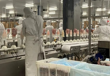 Макинск құс фабрикасында жазатайым оқиға болды – жұмысшы зардап шекті