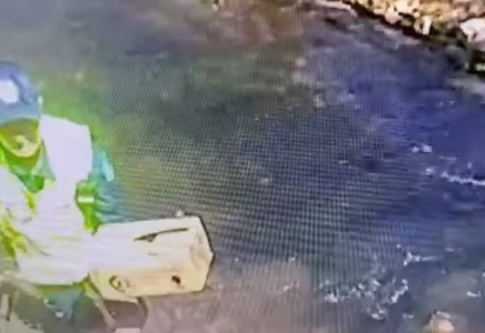 ​Шымкентте полицейлер мұздай суға түсіп кеткен марғауларды құтқарып қалды