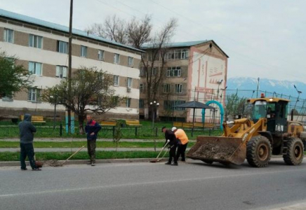 «ЖАСЫЛ АЙМАҚ»: Түлкібаста 138 шақырым арық-атыз тазаланды