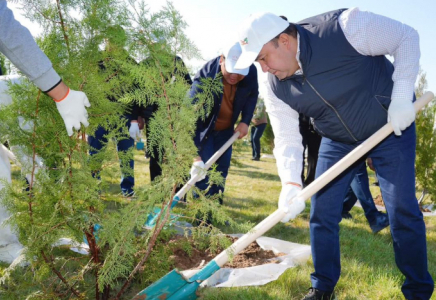 Түркістандағы ауқымды сенбілікке облыс әкімі мен тұрғындар қатысты 