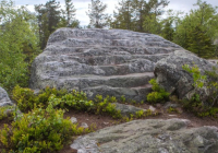 Абай облысында жоғалған шетел азаматының мәйіті табылды