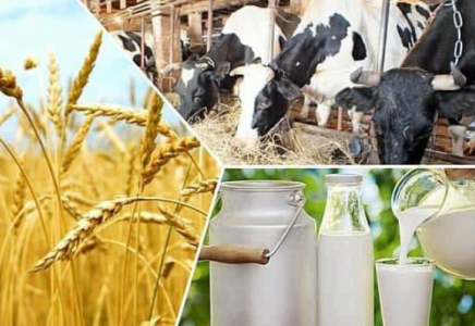 ТҮРКІСТАН: Сайрамда 81,5 млрд. теңгенің өнімі өндірілді
