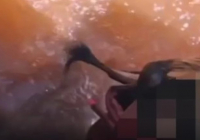 Жайықтағы жантүршігерлік жағдай: Атырауда 15 жастағы бойжеткен көпірден секіріп кетті 