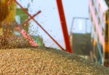 Қазақстан мен Ресей ауыл шаруашылығы өнімдері мен азық-түлік саудасын кеңейтуге уағдаласты