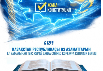 Мемлекет азаматтарын қорғауға кепілдік береді 