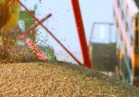 Қазақстан мен Ресей ауыл шаруашылығы өнімдері мен азық-түлік саудасын кеңейтуге уағдаласты