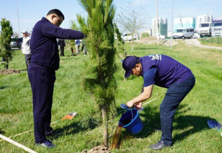 Түркістанда өткен жалпықалалық сенбілікке 2 мыңға жуық адам қатысты