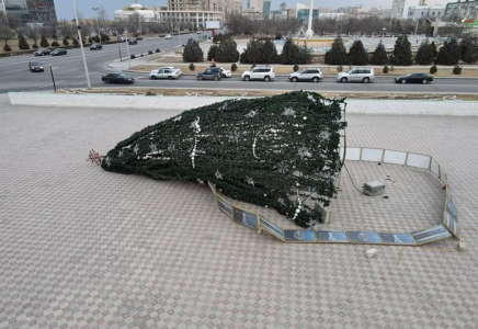 Қатты желден Ақтаудың орталық алаңындағы бас шырша құлады