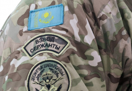 270 сарбаздың өлімі: министрлік себебін түсіндірді