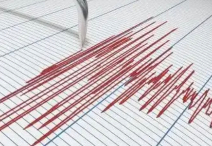 Қазақстандық сейсмологтар Қытайдағы жер сілкінісін тіркеді