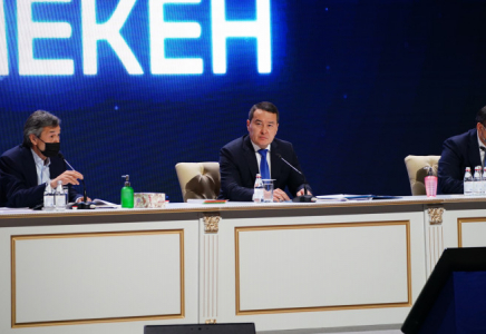 Халықтың табысын арттыру бағдарламасы әзірленіп жатыр 