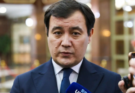 ​Шенген визасы қазақстандықтар үшін арзандауы мүмкін — СІМ