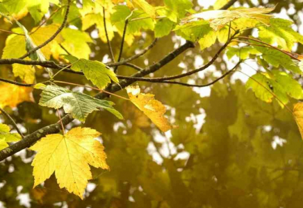 Елімізде қазан айында ауа райы қандай болады?