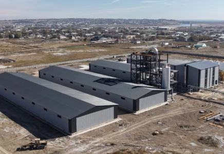 Түркістан облысында жүгері өңдейтін зауыт салынып жатыр