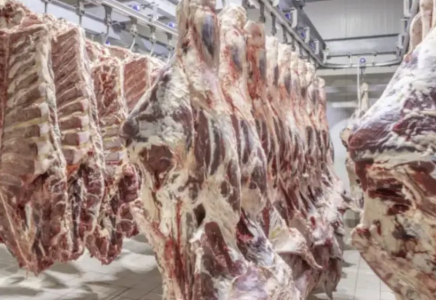Қазақстанда сиыр етін экспорттауға шектеу қойылды: министр себебін түсіндірді