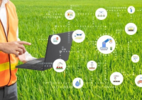 Қазақстанның 648 ауыл шаруашылығы өндірушісі цифрлық технологиялар мен жасанды интеллект элементтерін енгізіп жатыр