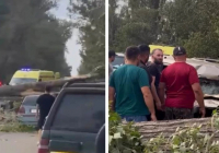 Алматы облысында ағаш құлап, көліктерді басып қалды: Зардап шеккендер бар