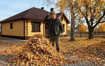 ​Талдан түскен ЖАПЫРАҚТАРДЫ өртемей, ПАЙДАҒА ЖАРАТУҒА болады