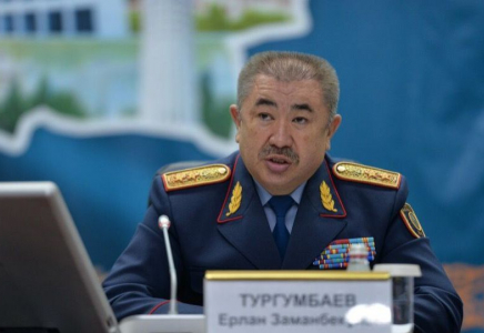 Министр Қордайда ақсақалды ұрған адамның қандай жауапқа тартылғанын айтты  