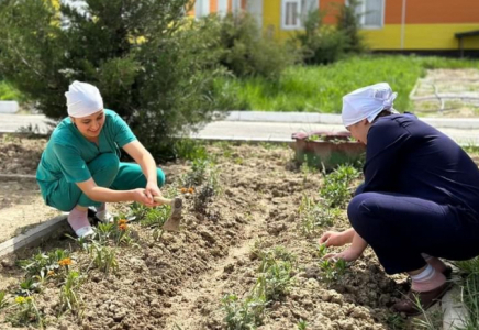«ЖАСЫЛ АЙМАҚ»: Сайрамда абаттандыру жұмыстары жүргізілді