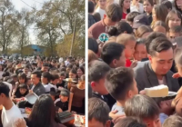 Алматыда тортқа таласқан жұрттың видеосы тарады (ВИДЕО) Алматыда тортқа таласқан жұрттың видеосы тарады (ВИДЕО)