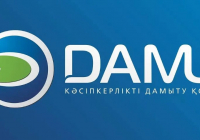 Биыл «Даму» қоры 9 мыңнан астам жобаны қаржыландырды