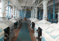 ТҮРКІСТАН: Түлкібаста 32 жоба іске асырылады