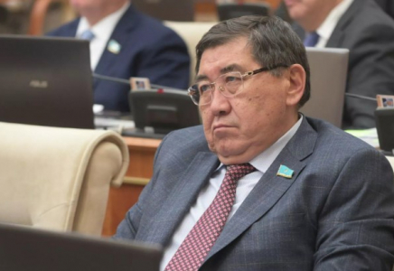 Депутаттар Нұрбол Назарбаевтың әрекетіне шағымданды – қосымша тергеу басталды