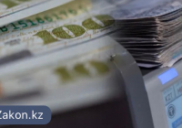 Виза үшін 20 мың долларға дейін: АҚШ 50 ел азаматына тұрақты кепілдік енгізеді