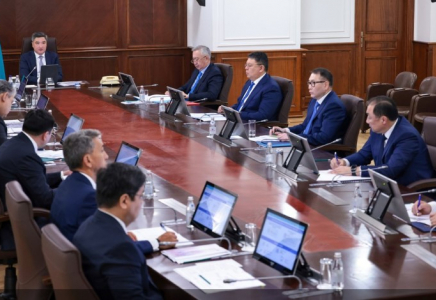 Үкіметте 2025 жылғы егін жинау науқанының барысы қаралды
