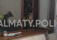 Алматыда пәтерден 33 жастағы ер адамның денесі табылды