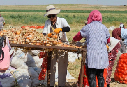​Израильдік тәсілмен табысын арттырып отырған қожалық