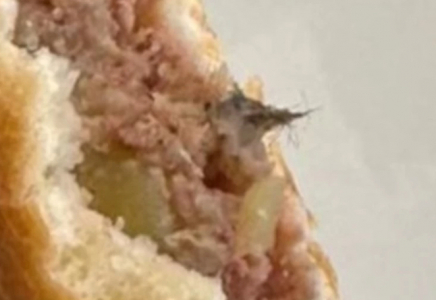 Семейде бәліш ішінен тышқанның жүні табылған соң, мектеп асханасы жабылды