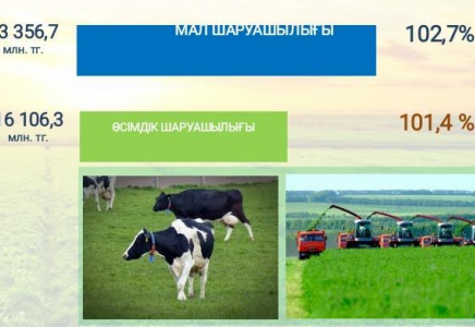 ТҮРКІСТАН: Қазығұрт ауданы агроөнеркәсіп саласында көш бастап тұр