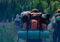 Экотуризм ерекше қарқынмен ілгерілеп келеді