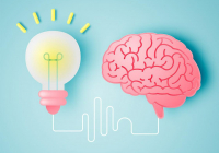 Оқушылардың ЕСТЕ САҚТАУЫН жақсартатын 5 ӘДІС