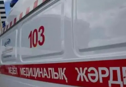 Қостанай облысында екі бала иіс тиіп уланды