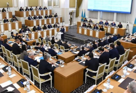 ​Жаңа Конституция жобасы: адам құқықтары қағида емес, нақты кепіл болуға тиіс