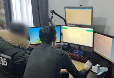 Қарағандыда мемлекеттік қызметтер сайтына шабуыл жасаған хакер ұсталды