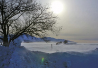 Ақмола облысында жеті баланың әкесі екі жарым айдан бері табылмай жатыр